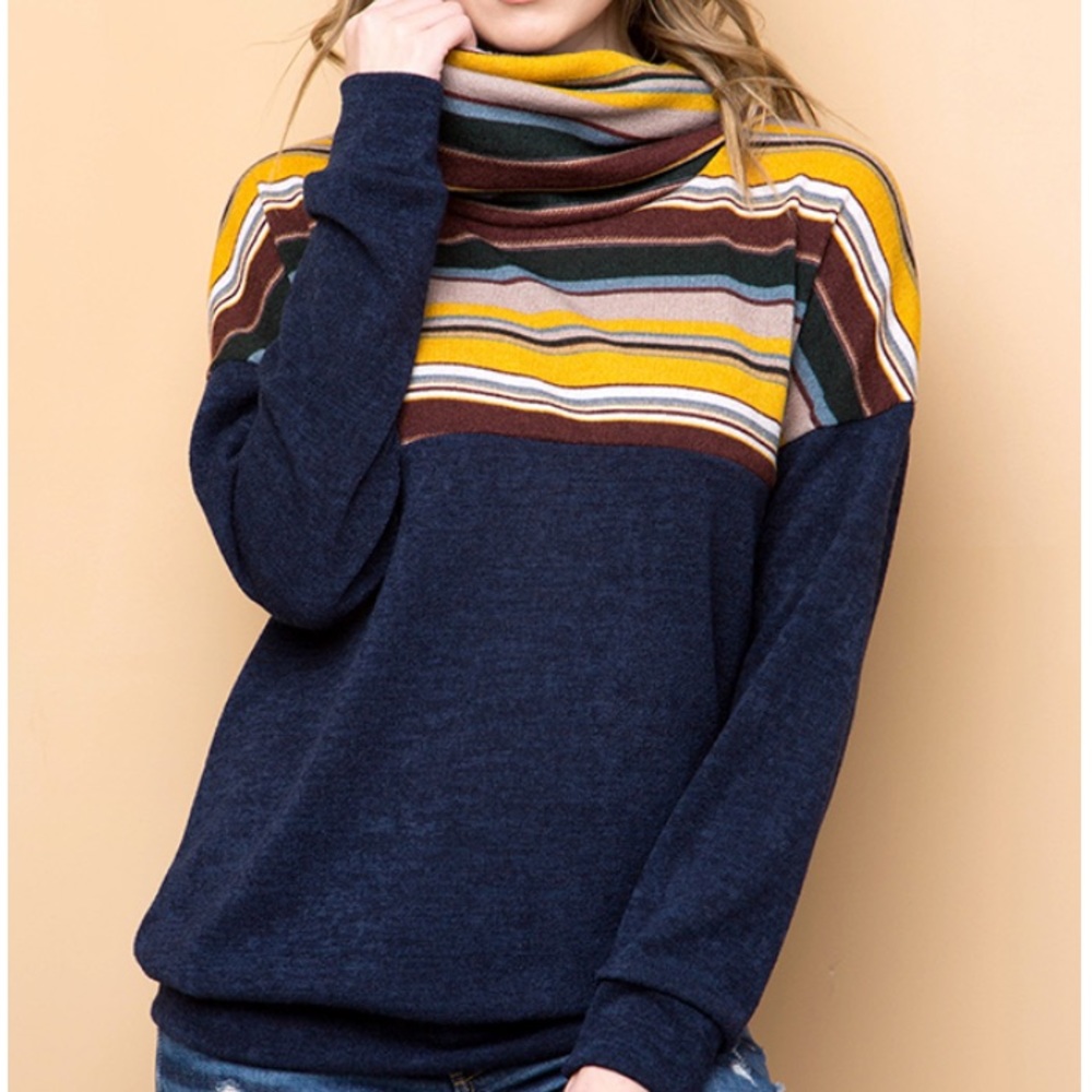 Multi Color Turtle Neck